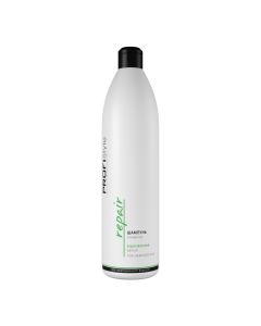 Шампунь восстанавливающий для поврежденных волос Profistyle Repair Shampoo, 1000 мл